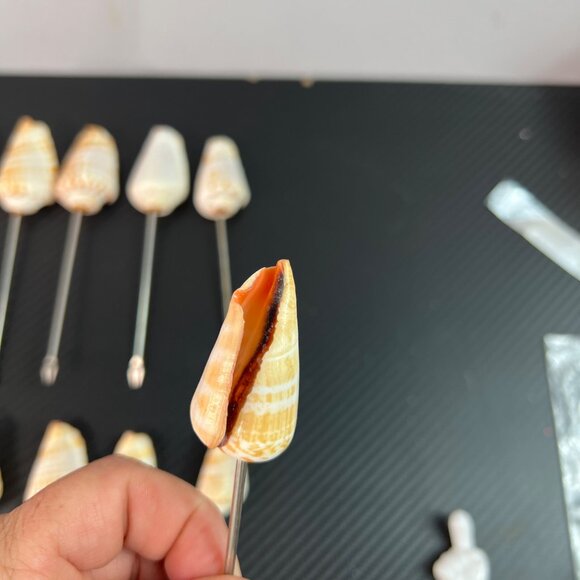 Set Of 12 Natural Seashell Cocktail Skewers MCM Silver Tone Metal Appetizer - Picture 6 of 12